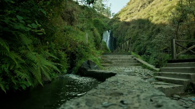 Amanecer dentro del bosque natural en la Cascada de Peguche en Otavalo, Ecuador.