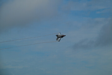Military F-35 in Flight