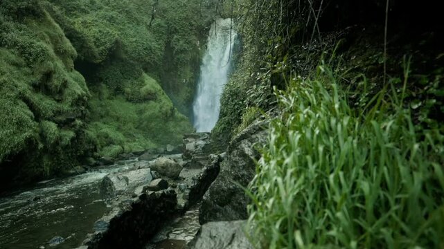 Amanecer dentro del bosque natural en la Cascada de Peguche en Otavalo, Ecuador.