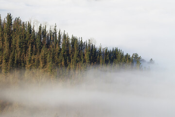 Fog in Orendain, Tolosaldea, Gipuzkoa, Spain