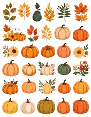Autumnal pumpkin and leaf illustrations