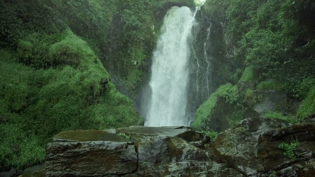 Amanecer dentro del bosque natural en la Cascada de Peguche en Otavalo, Ecuador.
