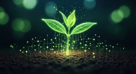 Digital Seedling Growing with Data Particles Symbolizing Sustainable Technology