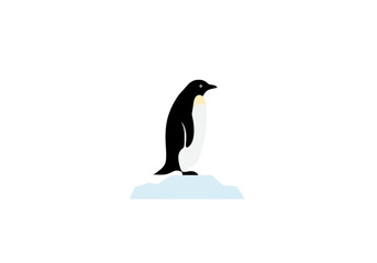 Single Elegant Penguin on Ice.