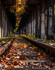 Autumnal railway tunnel