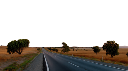 Endless Road to Horizon: An expansive view of a long, straight road stretching towards the horizon, flanked by a landscape of grassy fields and scattered trees.