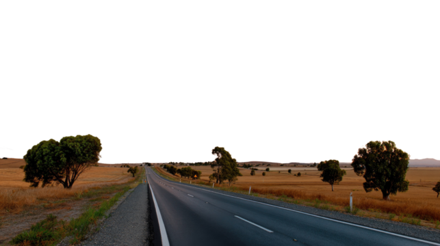 Endless Road to Horizon: An expansive view of a long, straight road stretching towards the horizon, flanked by a landscape of grassy fields and scattered trees.