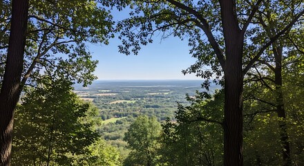 Obraz premium Scenic Valley View from Forest Overlook.