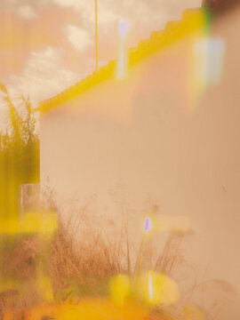 grunge background with flowers