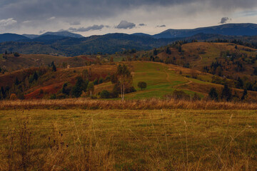 Fototapeta premium Beautiful early autumn in Carpathian mountains, Ukraine