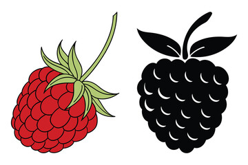 Vibrant red and silhouette raspberry fruit design