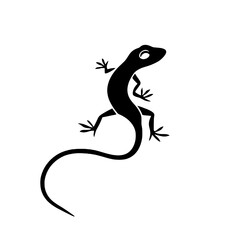 Naklejka premium Anole. Anole simple black and white line art vector logo