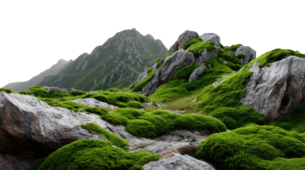 Majestic Mountain Scene: A stunning view of a rugged mountain landscape, with lush green moss cascading over the rocks. Capturing a sense of serenity and the raw beauty of the natural world.
