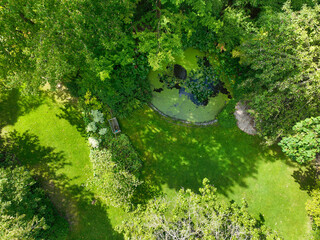 English green garden multiple type of trees and plants during sunny summer season