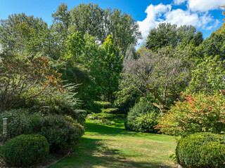 English green garden multiple type of trees and plants during sunny summer season