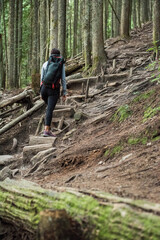 Female hiker carrying large backpack hiking up steep evergreen trail over roots and mossy logs
