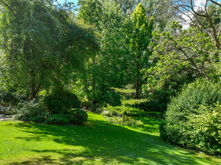 English green garden multiple type of trees and plants during sunny summer season