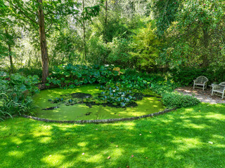 English green garden multiple type of trees and plants during sunny summer season
