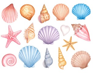 Colorful seashell and starfish collection (1)