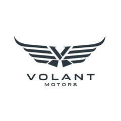The Volant Motors logo features a stylized wing emblem above the company name, suggesting speed and aviation.