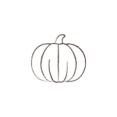 line vector illustration of a pumpkin. hand drawn halloween pumpkin. halloween jack-o-lantern.