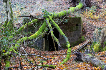Forgotten bunker in the forest – Mysterious hiding place in nature