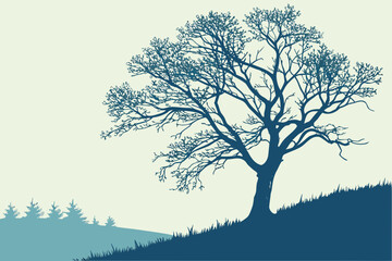 Detailed Hand-Drawn Bald Eagle and Tree Illustration