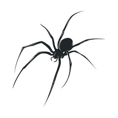 Simple black and white drawing of a menacing, long-legged spider.