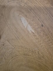 abstract texture of wood grain