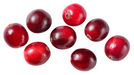 A group of eight cranberries scattered on a black background in a studio shot for food photography