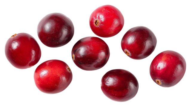A group of eight cranberries scattered on a black background in a studio shot for food photography