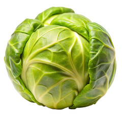 Obraz premium Brussels Sprout isolated on a transparent background