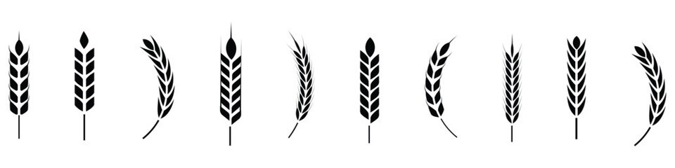 Wheat Ears Icons, Flat Vector Agriculture Wheat.  Labels for Farming, Bread, Beer Logo, Packaging, Organic Food Concept. Wheat Ears Icons Vector illustration.