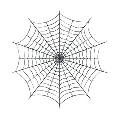 Obraz premium Radial spider web line drawing on white