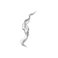 Fototapeta premium Abstract Silver Smoke, Swirling Vapor, Elegant Curves, Gray Streamers, Artistic Design ElementAbstract Realistic Soft Smoke Background , Fog , Vapor On White Background Realistic white smoke texture 