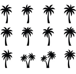 Fototapeta premium Collection of black palm tree silhouettes isolated on a white background. A set of tropical vector icons for summer design