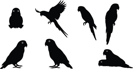 parrot, owl, bird, wildlife, animal, silhouette, icon, vector, illustration, black, white, perched, flying, standing, resting, posture, feathers, anatomy, tropical, nocturnal, behavior