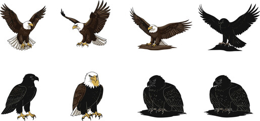 eagle, bird, wildlife, animal, raptor, silhouette, icon, vector, illustration, black, white, perched, flying, standing, posture, anatomy, feathers, predator, study, design, behavior