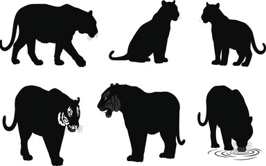 Black panther silhouette illustration set with walking, sitting, roaring, drinking, hunting poses, wild animal vector collection for nature, jungle, wildlife, predator themes