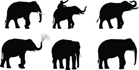 Elephant silhouettes, wild animal, African wildlife, elephant walking, rider on back, trunk spraying, animal vector illustration