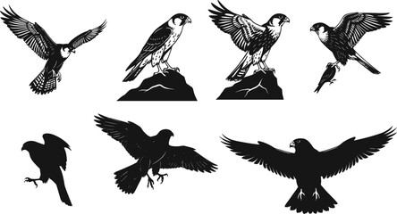 falcon, bird, wildlife, animal, raptor, silhouette, icon, vector, illustration, black, white, perched, flying, diving, standing, posture, anatomy, feathers, predator, study, design, behavior