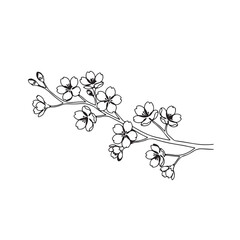 Cherry Blossom Branch Line Art