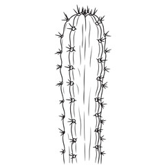 Cactus Minimal Line Drawing