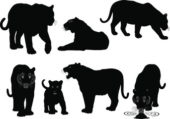 Tiger silhouettes in dynamic poses — walking, resting, drinking, with cub — perfect for wildlife, jungle, predator-themed vector designs, logos, and nature illustrations