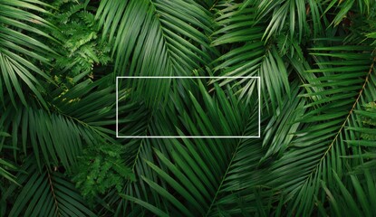 Tropical palm leaves frame a blank space