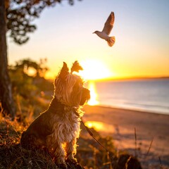 A Yorkshire Terrier dog sits on a coastal bluff at sunset, watching a seagull soar. Golden light bathes the scene