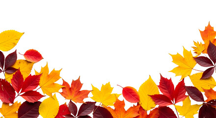 Vibrant autumn leaves in warm hues of red, yellow, and orange creating a festive border on a white background