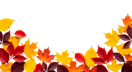 Vibrant autumn leaves in warm hues of red, yellow, and orange creating a festive border on a white background