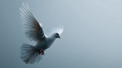Fototapeta premium Dove in flight soft sky minimalism