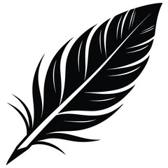 Obraz premium Vector art of black feather silhouette, a symbol of lightness